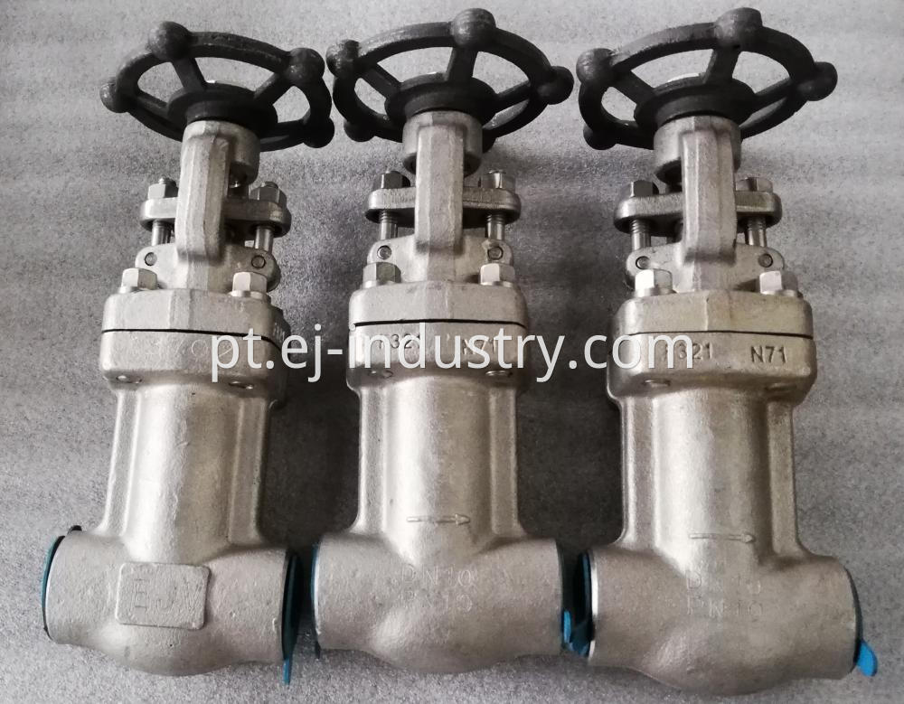 F321 Bellow Globe Valve